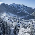 Rhododendrons Rd406 Cosy & Center 6 Pers * Châtel
