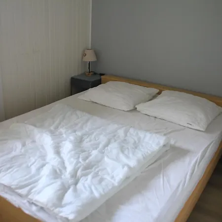 Rhododendrons Rd406 Cosy & Center 6 Pers Apartment Chatel