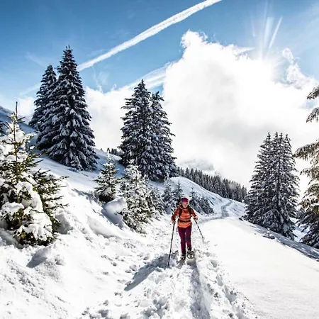 Apartment Rhododendrons Rd406 Cosy & Center 6 Pers Chatel