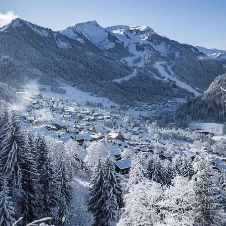 Rhododendrons Rd406 Cosy & Center 6 Pers * Chatel