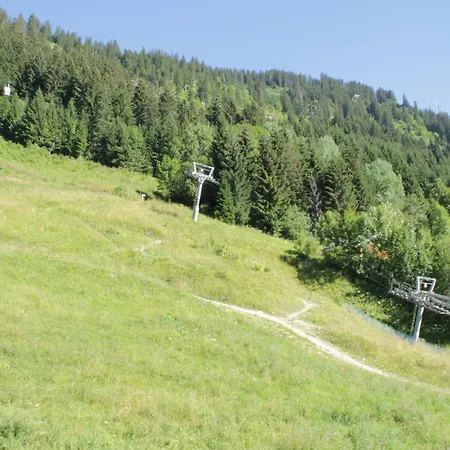 Rhododendrons Rd406 Cosy & Center 6 Pers Châtel