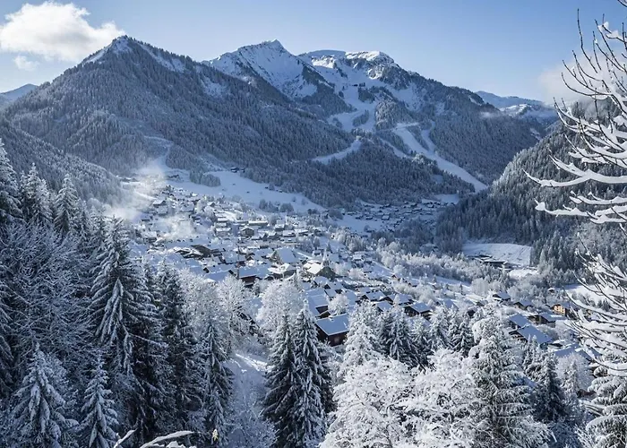 Rhododendrons Rd406 Cosy & Center 6 Pers * Châtel